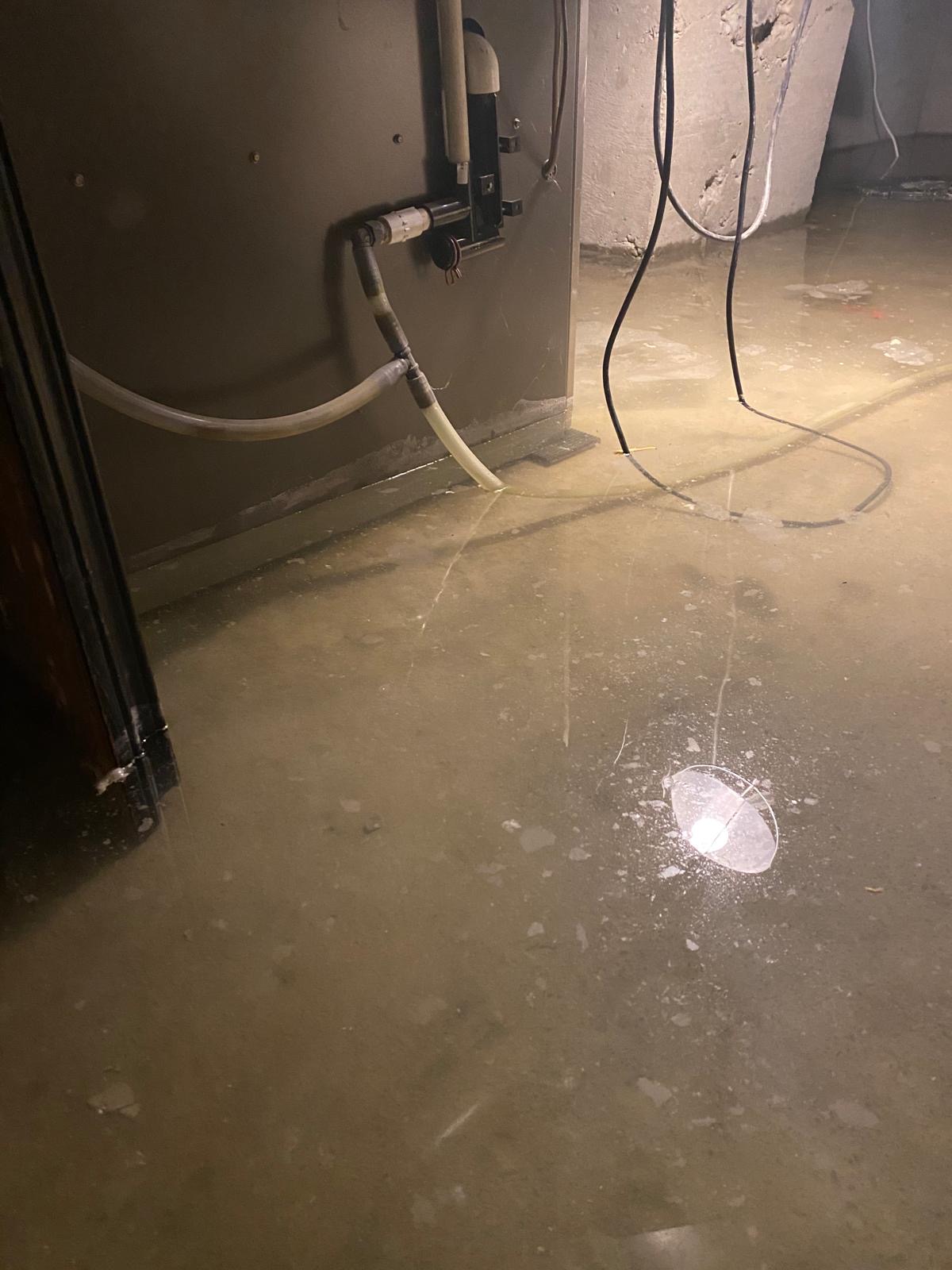 Basement Flooding Toronto Restoration Services