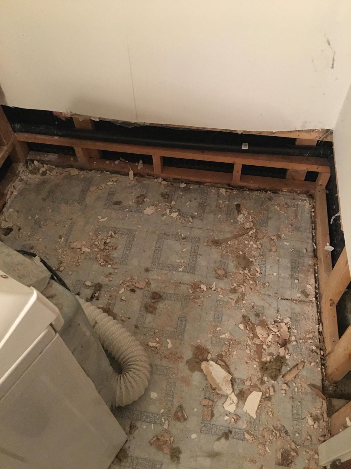 Emergency Mold Removal Scugog Services