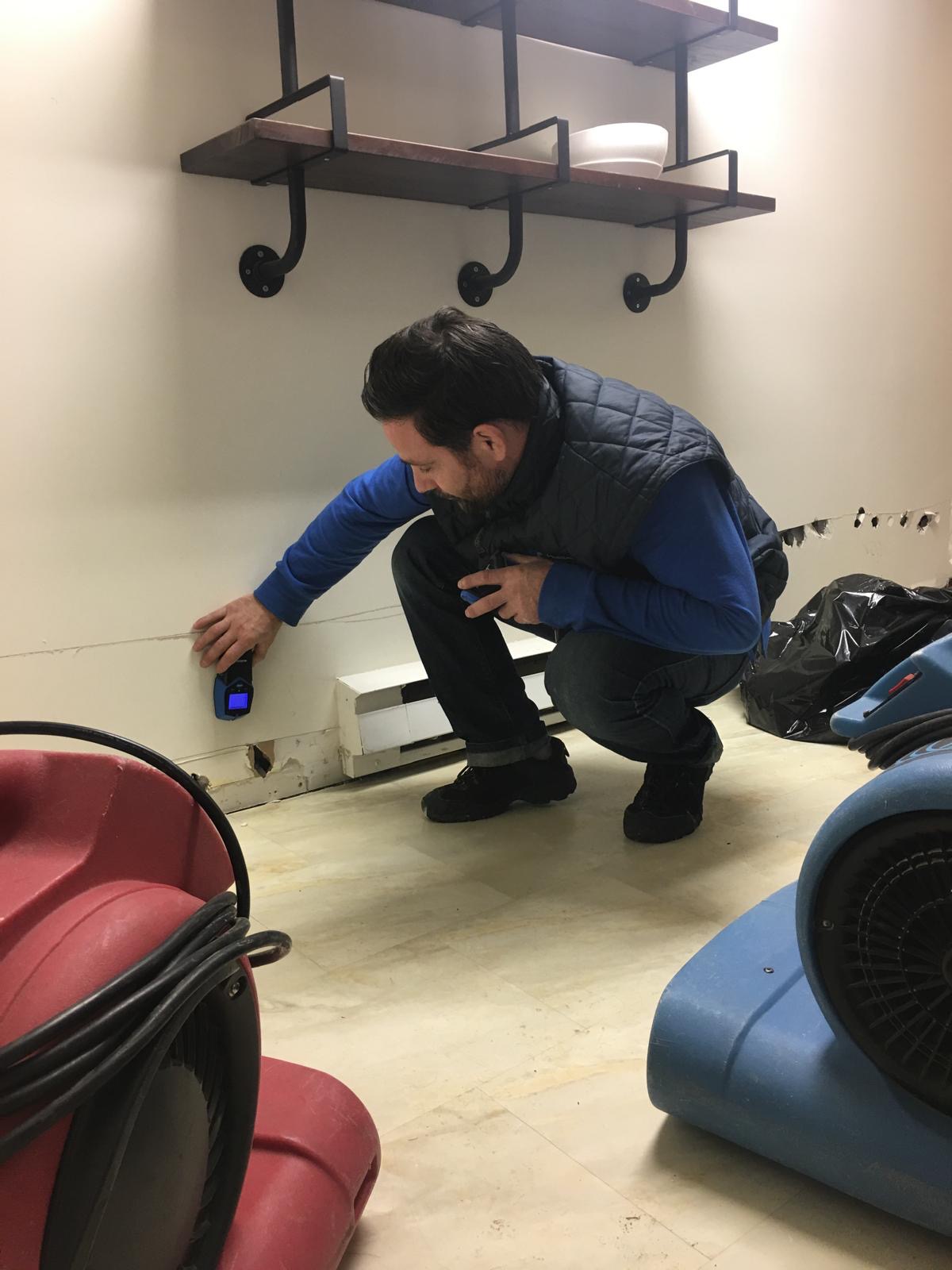 Moisture Measuring Scugog Services