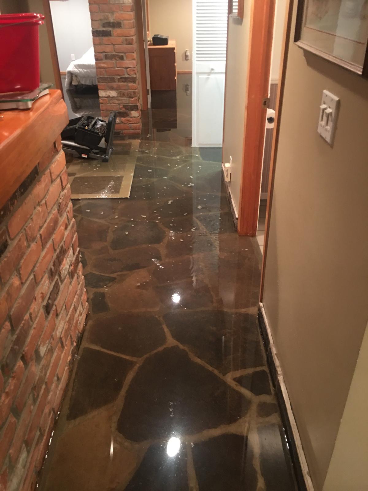 Basement Flooding Scugog Restoration Services